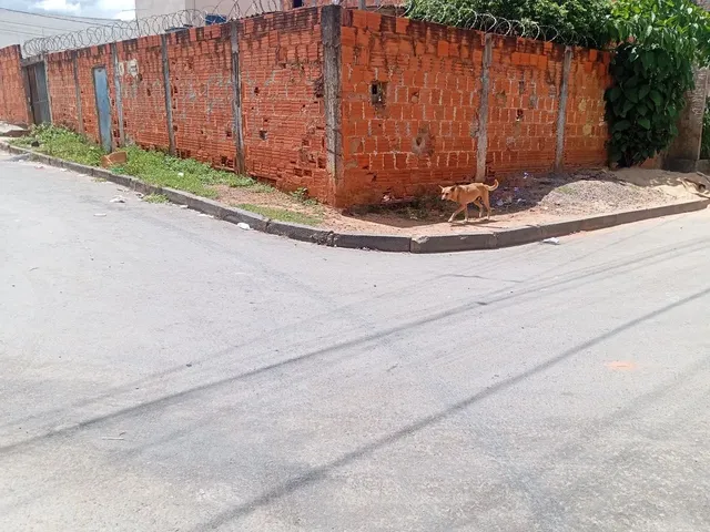 Imagem: Lote de Esquina 150 M²,Com Barracão 82.900.00