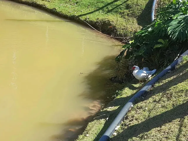 Imagem 10: Apartamento para Venda em Petrópolis, Itaipava, 2 Dormitórios, 1 Suíte, 2 Banheiros, 1