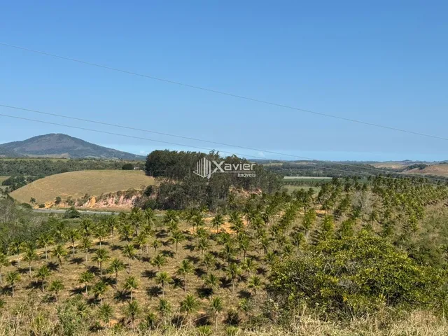 Imagem: Terreno com 7 Alqueires À Venda em Jabaquara