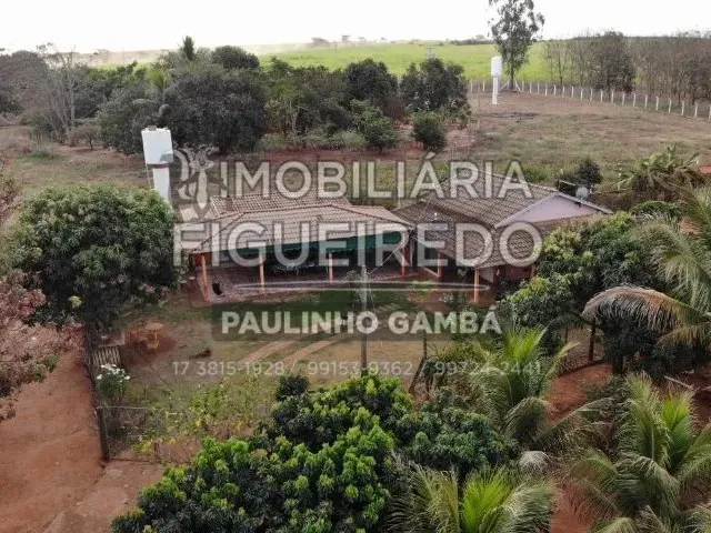 Imagem: Propriedade Rural na Região de Olímpia
