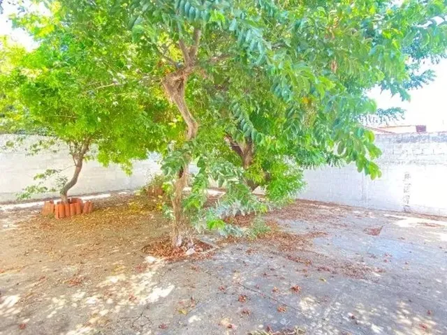 Imagem 13: Casa À Venda, 3 Quartos, 1 Suíte, 2 Vagas, Campestre - Teresina/Pi