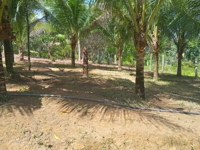Imagem 3: Sítio com Casa Chácara com venda por R$1.400