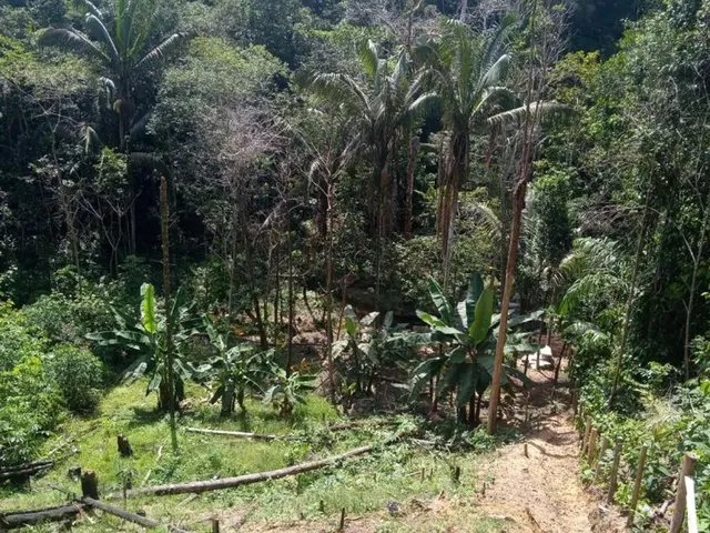 Imagem 4: Sítio com Casa Chácara com venda por R$1.400