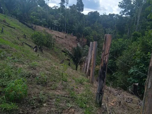Imagem 5: Sítio com Casa Chácara com venda por R$1.400