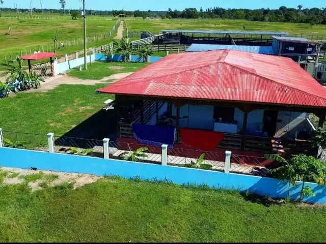 Imagem: Vendo Fazenda em Rio Preto da Eva