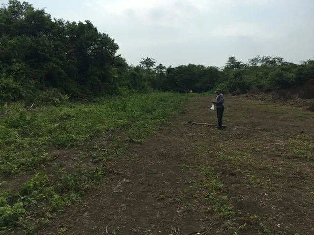 Imagem 2: Terreno Escriturado Manacapuru no Vale Verde 2