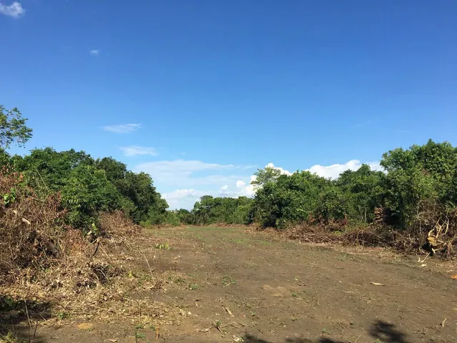Imagem 5: Terreno Escriturado Manacapuru no Vale Verde 2