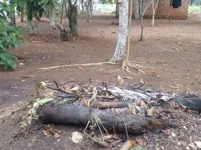 Imagem 1: /Vendo Lote com 800 M2 em Açutuba