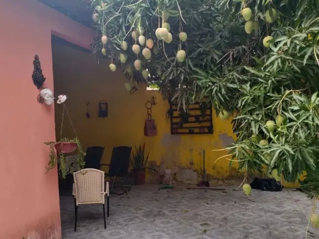 Imagem 11: Vende Se Uma Casa no Conjunto Ceará