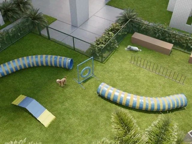 Imagem 16: Repasse | Apartamento a Venda 3 Quartos | Elev Jardim de Fátima