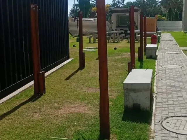 Imagem 16: Apartamento de Repasse com Piso Pronto para Morar a Venda no Vida Botânica