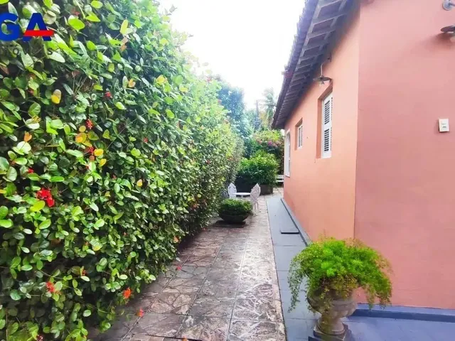 Imagem 11: Casa com 367²M com 04 Quartos no Bairro Rodolfo Teófilo - Fortaleza-Ce