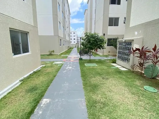 Imagem 12: Repasse no Recanto Maraponga