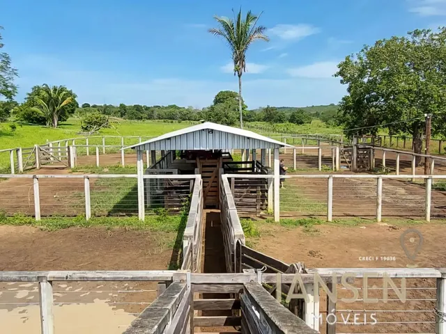 Imagem: Fazenda À Venda Tocantins Permuta