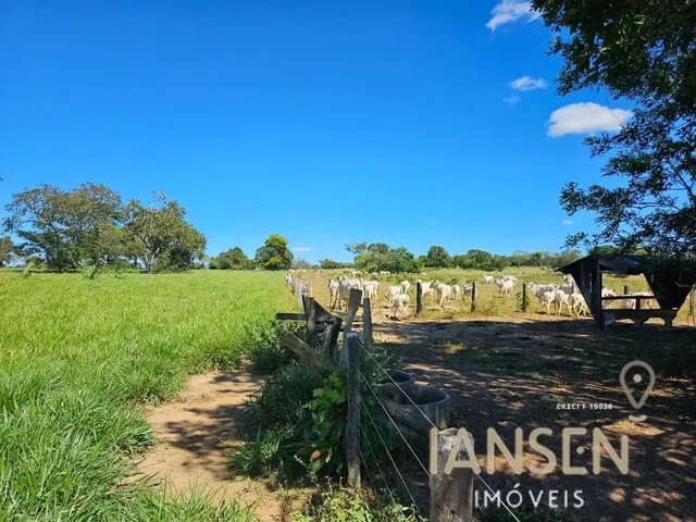 Imagem 10: Fazenda À Venda Tocantins Permuta