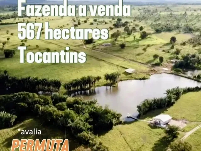 Imagem 11: Fazenda À Venda Tocantins Permuta