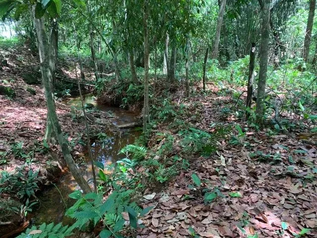 Imagem: Chácara Quitada de 6.000 M²