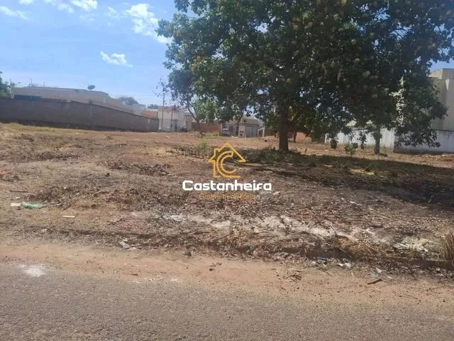 Imagem: Lote Residencial de 265M² - Plano Diretor