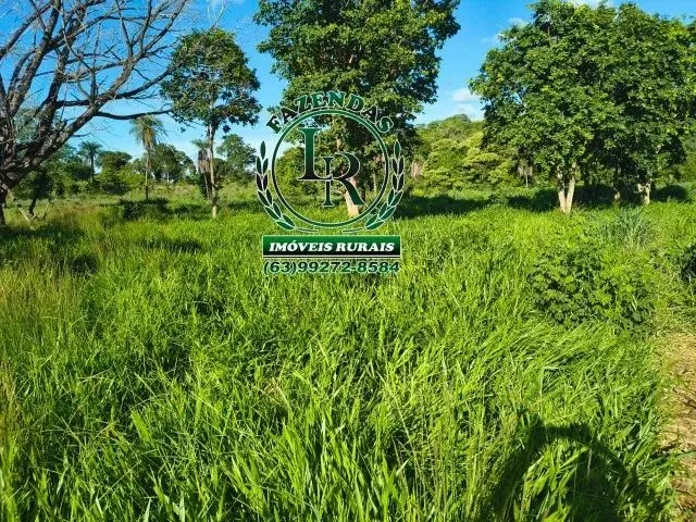Imagem: Fazenda-Chácara 13 Alqueires Próximo Paraiso
