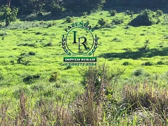 Imagem 2: Fazenda-Chácara 13 Alqueires Próximo Paraiso