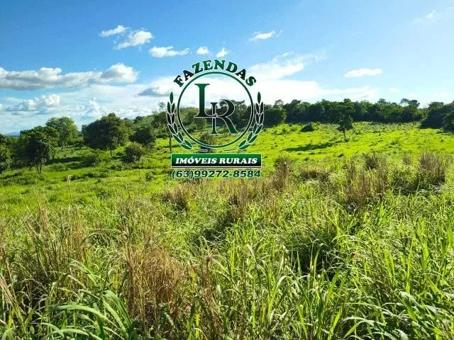 Imagem 4: Fazenda-Chácara 13 Alqueires Próximo Paraiso