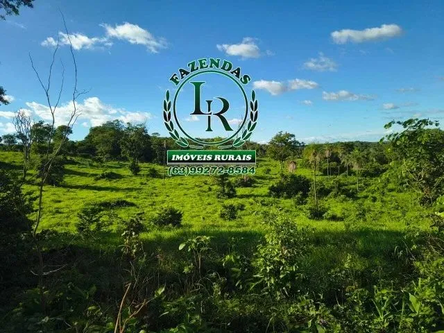 Imagem 3: Fazenda-Chácara 13 Alqueires Próximo Paraiso