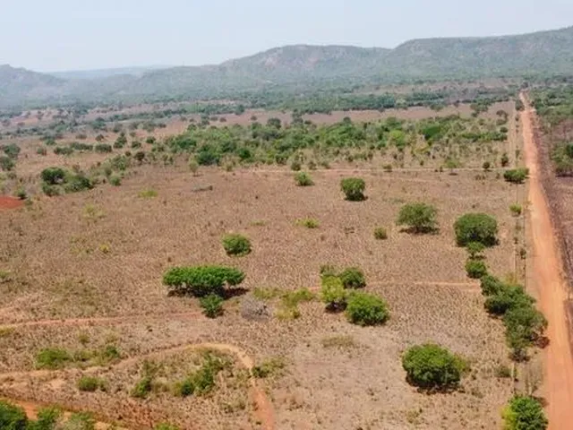 Imagem: Vendo Fazenda em Porto Nacional To