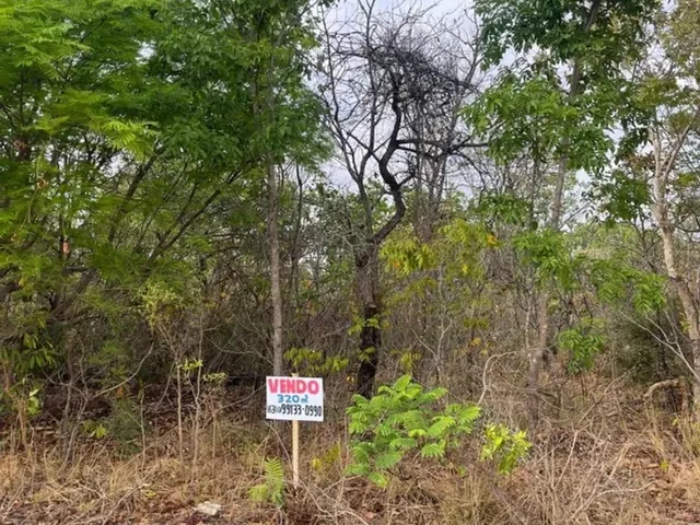 Imagem: Terreno 320 M² Frente Vaquejada Arreio