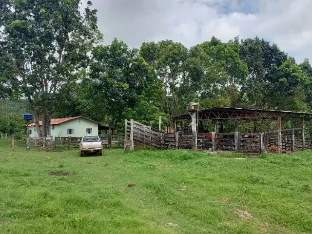 Imagem: Vende-Se Fazenda 35 Alqueires em Barrolândia