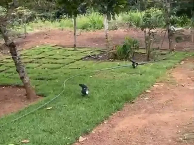 Imagem 2: Vende-Se Chácara de 04 Alqueires