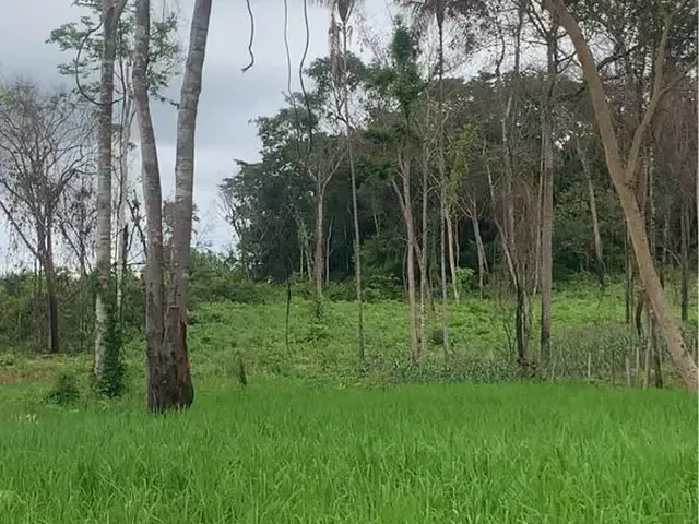 Imagem 10: Vende-Se Chácara de 04 Alqueires