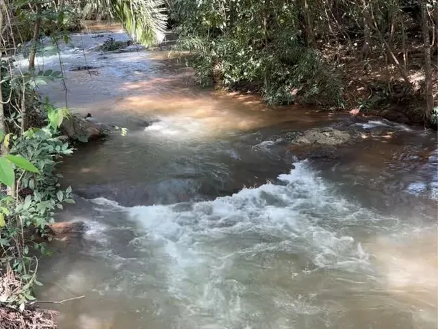 Imagem: Chácara com Córrego