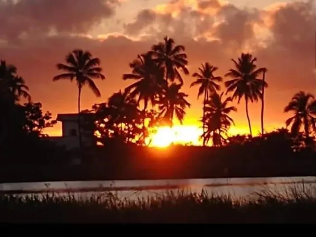 Imagem 12: Aluga Se Casa em Salinas da Margarida