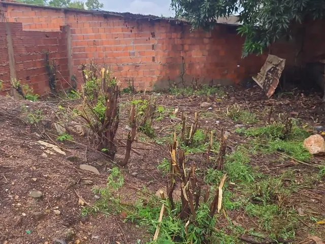 Imagem 3: Terreno Tancredo Neves (Próximo a Upa