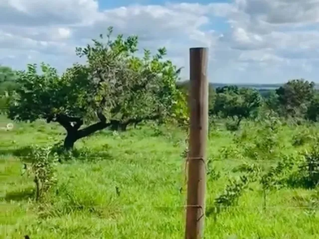 Imagem 1: Lote em Padre Bernardo-Go (Vendinha