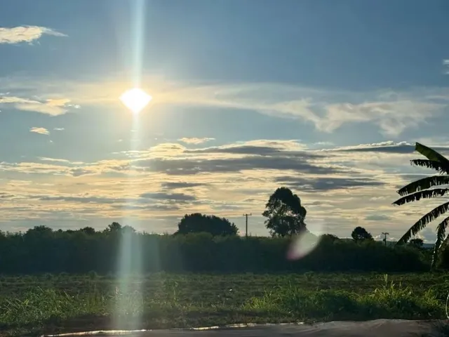 Imagem: Chácara 2 Hectares Df 220