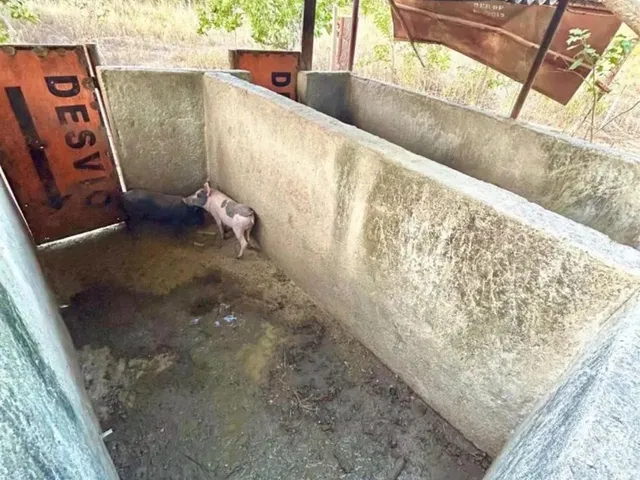 Imagem 2: Linda Chácara em Mariapolis-Go