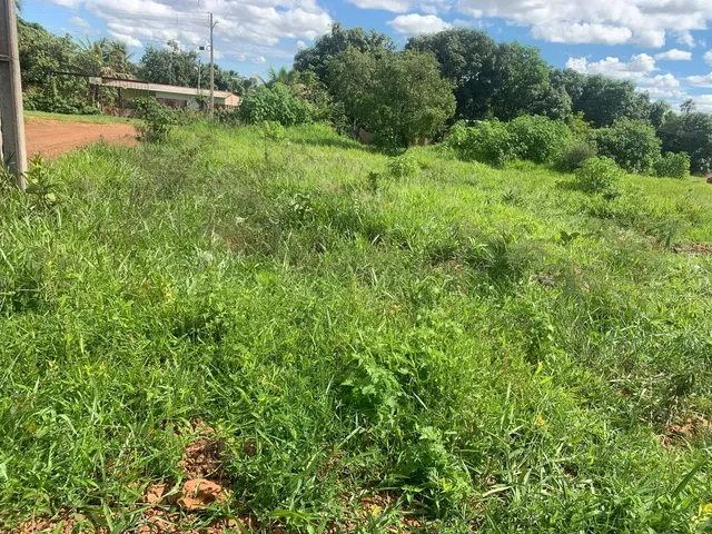 Imagem 6: Linda Chácara em Mariapolis-Go