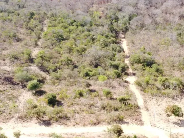 Imagem: Imóvel para Venda com 20000 Metros Quadrados