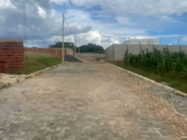 Imagem 4: Lote Núcleo Rural Alexandre Gusmão