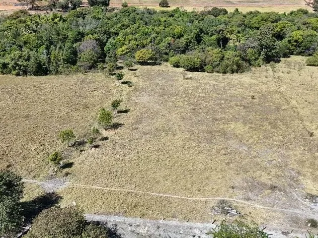 Imagem 11: Fazendinha a Venda com Exclusividade em Brazlândia/Df com 70 Hectares