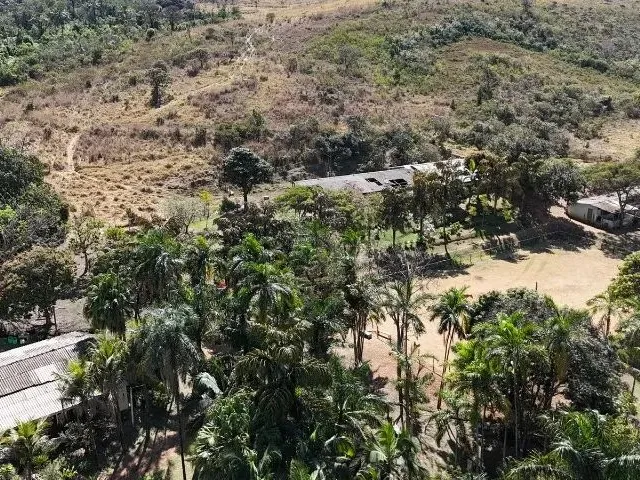 Imagem 5: Fazendinha a Venda com Exclusividade em Brazlândia/Df com 70 Hectares