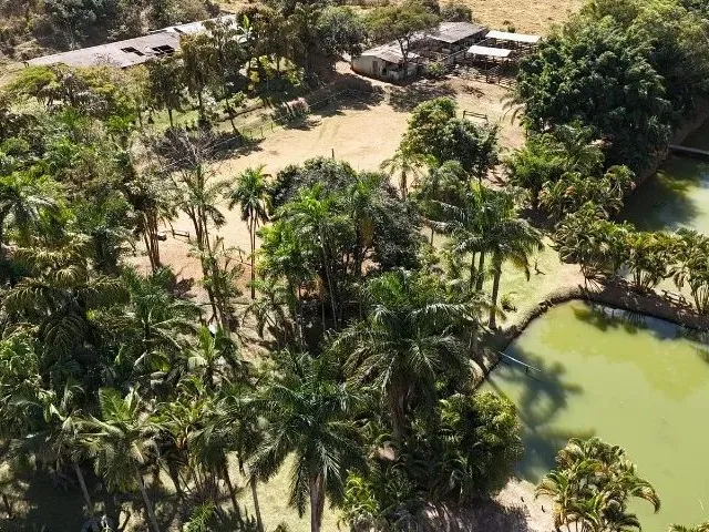 Imagem 14: Fazendinha a Venda com Exclusividade em Brazlândia/Df com 70 Hectares