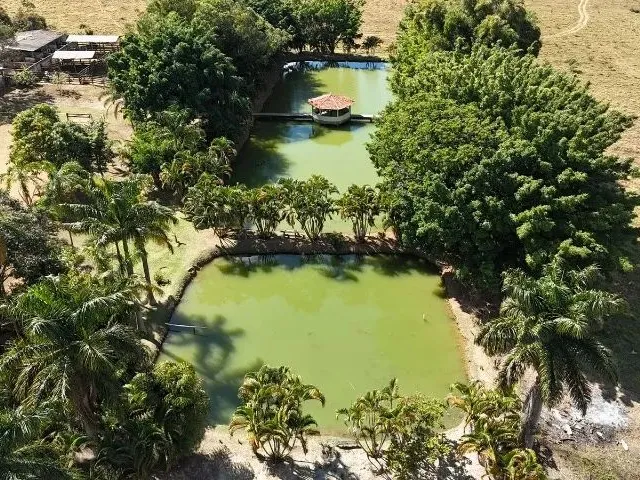 Imagem 16: Fazendinha a Venda com Exclusividade em Brazlândia/Df com 70 Hectares