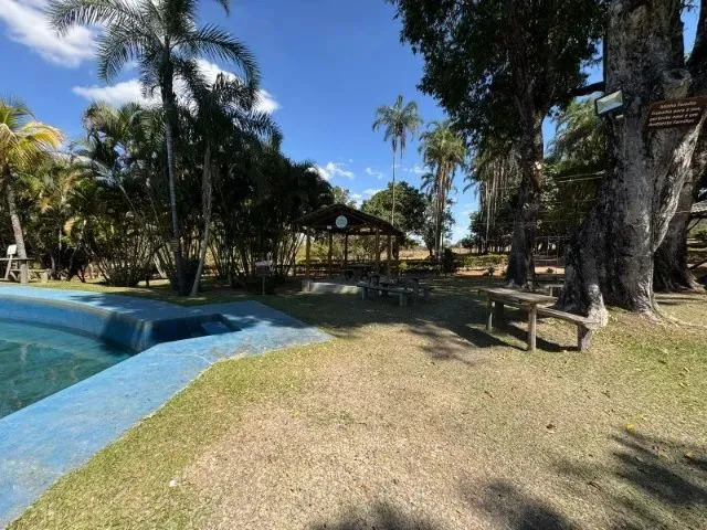Imagem 2: Fazendinha a Venda com Exclusividade em Brazlândia/Df com 70 Hectares