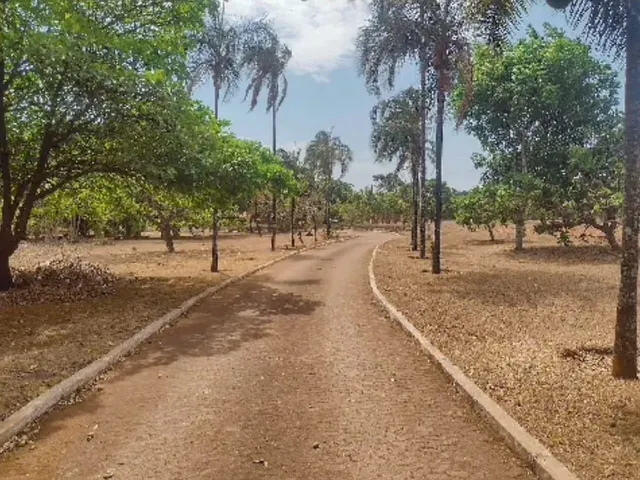 Imagem 3: Excelente Chácara Rua 07