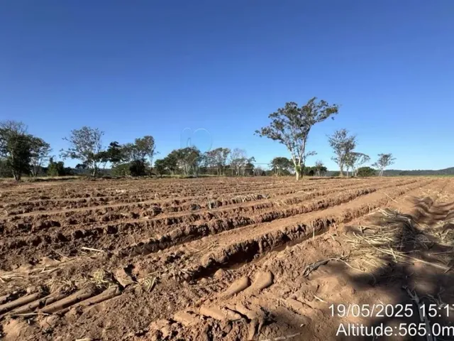 Imagem: Fazenda de 605 Hectares À Venda - Ibaté