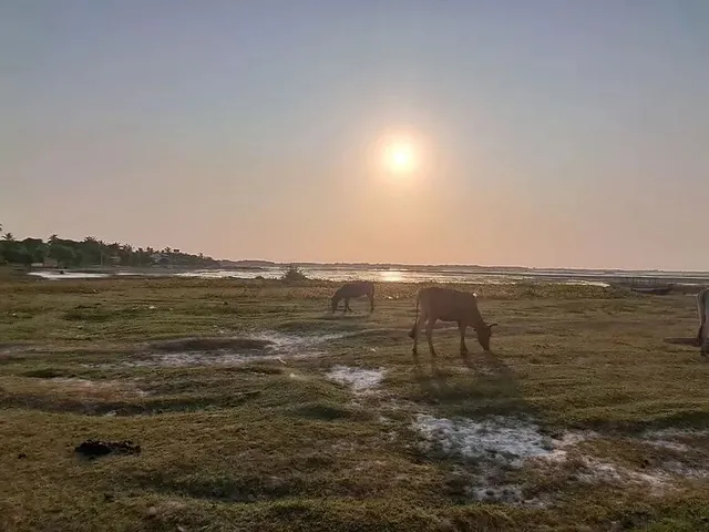 Imagem 6: Casa em Santo Amaro