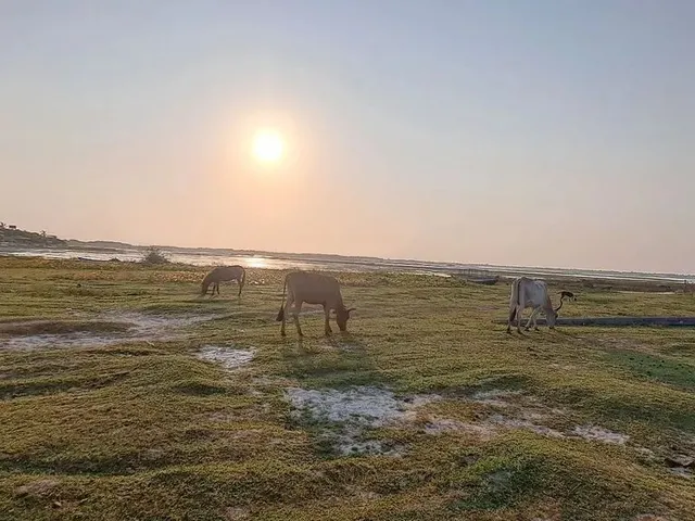 Imagem 2: Casa em Santo Amaro