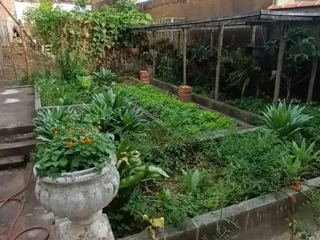 Imagem 6: Casas Padrão em Poços de Caldas